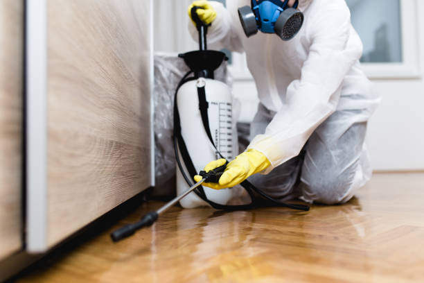 Best Exterminator Services  in Folly Beach, SC