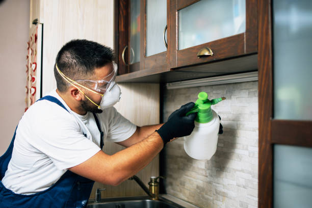 Best Pest Control Near Me  in Folly Beach, SC