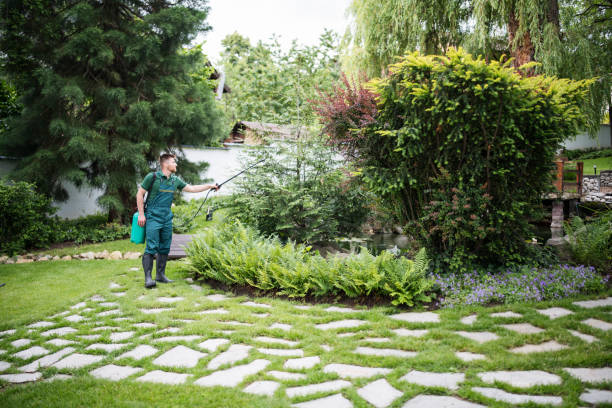 Best Pest Removal Services  in Folly Beach, SC