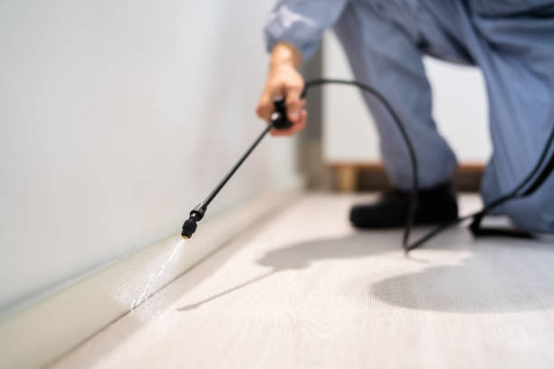 Best Emergency Pest Control  in Folly Beach, SC