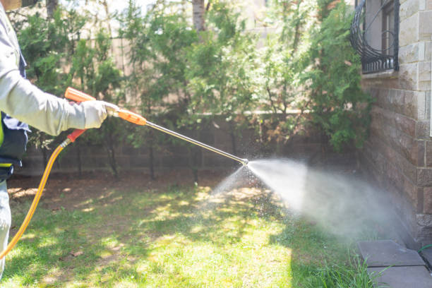 Pest Prevention Services in Folly Beach, SC