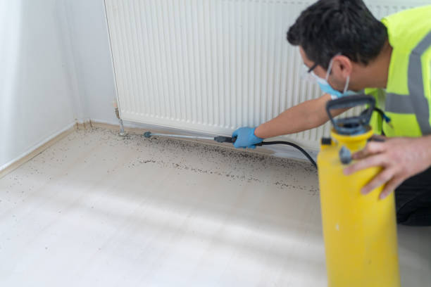 Best Bed Bug Extermination  in Folly Beach, SC