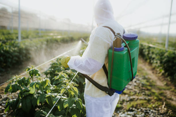 Best Commercial Pest Control Services  in Folly Beach, SC